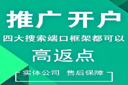 网络推广策略：竞价广告的实践案例